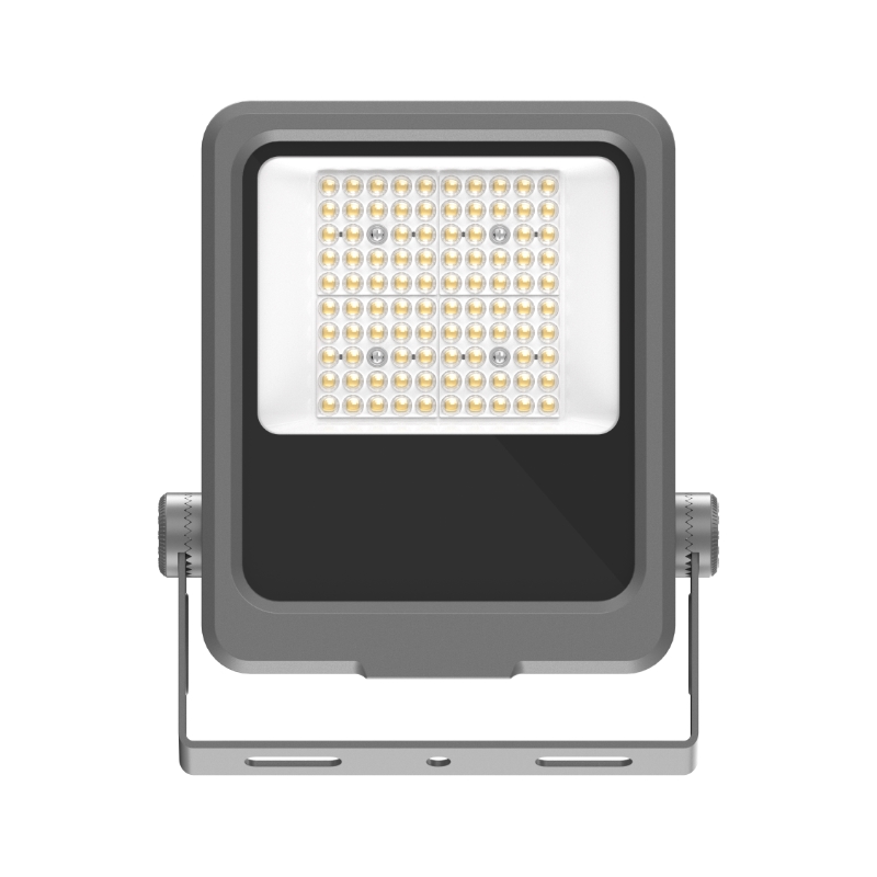 LSBY-DFTGD-50W-正面